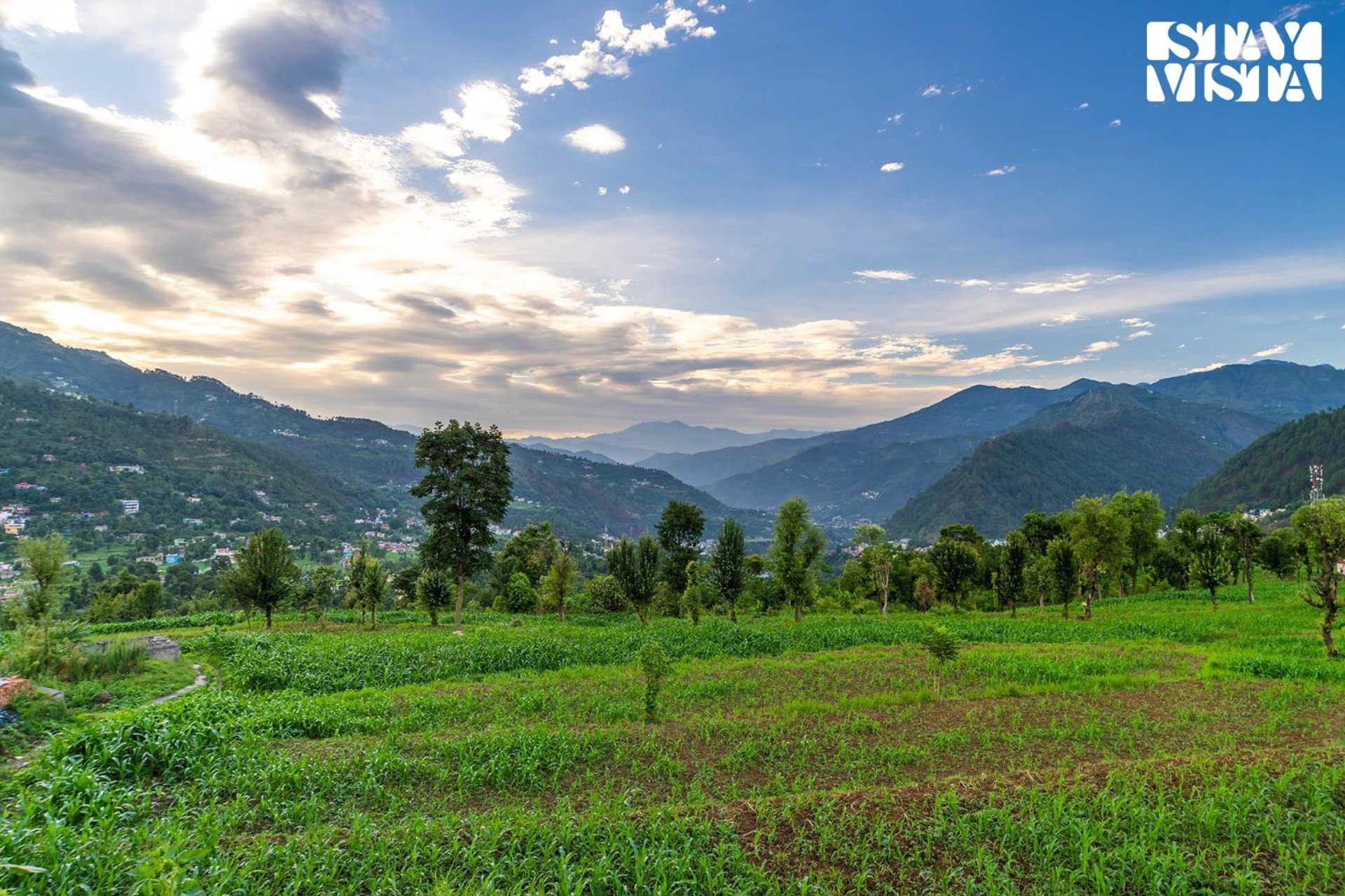 Stayvista At The Oakridge 4 Bhk Villa In Dharamshala With Jacuzzi & Balcony Chamba  Exterior foto